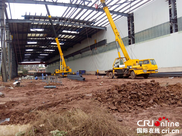 图片默认标题_fororder_惊雷农林现代农林业全产业链融合发展项目