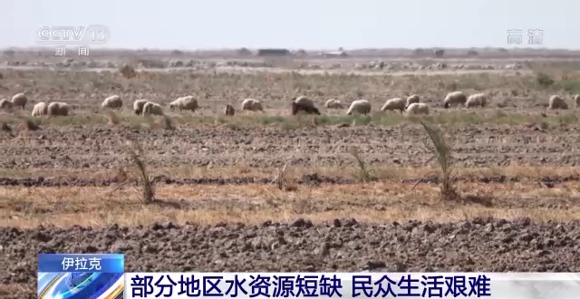 伊拉克部分地区水资源短缺 民众生活艰难