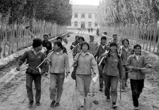 #新疆日报#【70年·新疆民生变奏曲】新疆农耕变奏曲：从“万