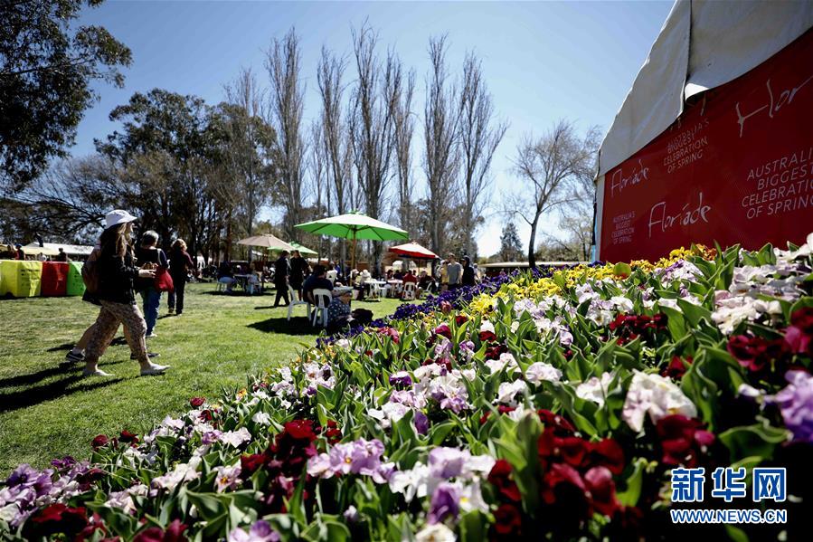 「新华网」澳大利亚最大迎春活动在堪培拉开幕