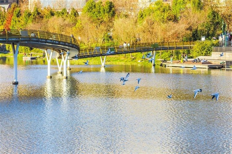 六盘水钟山:红嘴鸥如期而至_fororder_c4588ac1-0eb4-449c-bc8d-fcdbc6b41cde