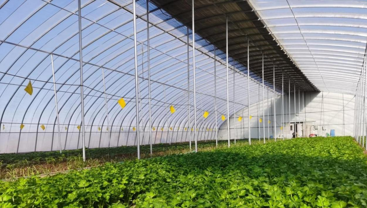 (原创)雄安新区:建设国家级一流园区基地 打造中国式农业现代化雄安场景_fororder_图片3