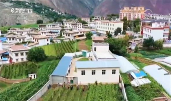 「央视网」西藏：打赢脱贫攻坚战 稳定脱贫 逐步致富