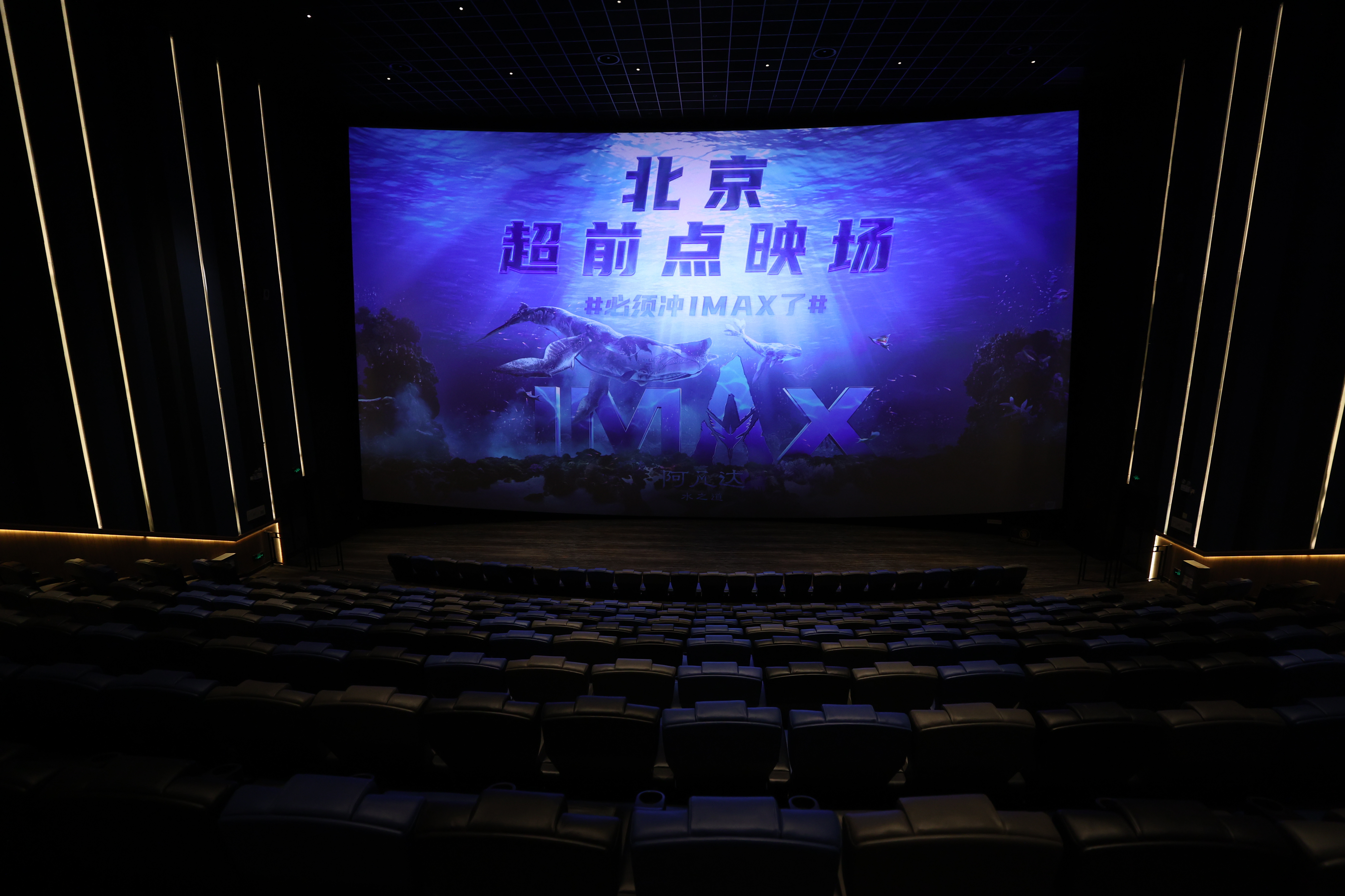 《阿凡达：水之道》IMAX点映 开启潘多拉冒险