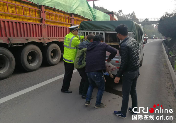 图片默认标题_fororder_1