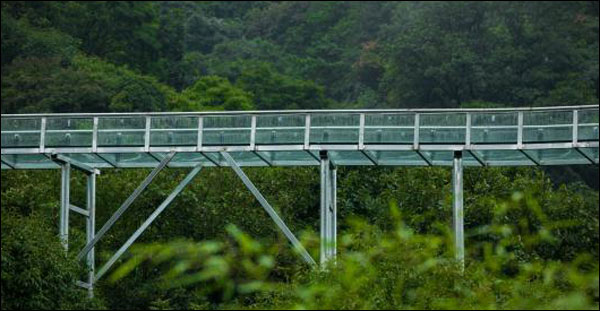 图片默认标题_fororder_0916-2