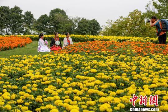 图片默认标题_fororder_J2