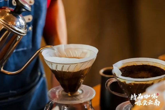 “精品咖味·啡尝云南”咖啡研讨会在保山举行 “精品咖味·啡尝云南”咖啡研讨会在保山举行