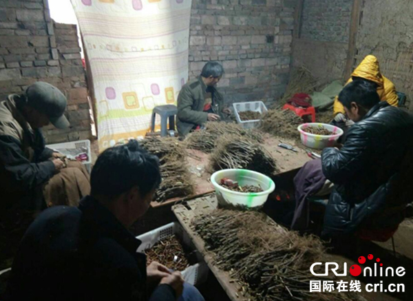 图片默认标题_fororder_2