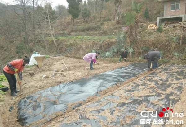 图片默认标题_fororder_3