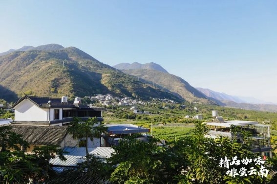 “精品咖味·啡尝云南”咖啡研讨会在保山举行 “精品咖味·啡尝云南”咖啡研讨会在保山举行