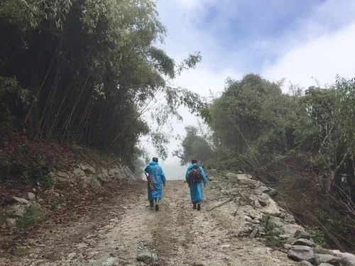 「新华每日电讯」这些“不配枪的战士”续写“1号界碑”故事