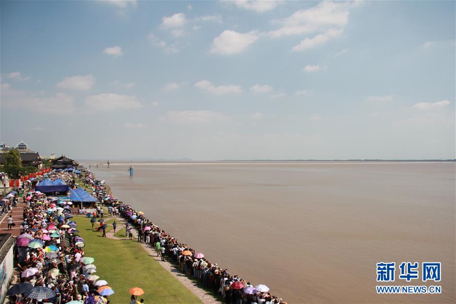 新华网■浙江海宁：钱塘潮“一线潮”景观