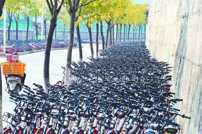 偏僻小路停放万辆共享单车 运营方：集中“洗澡”
