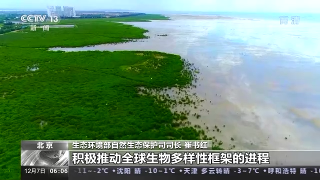 COP15第二阶段会议将取得哪些成果？专家解读→