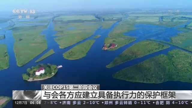 COP15第二阶段会议将取得哪些成果？专家解读→