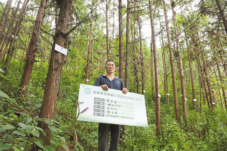 贵州:厚植优势 生态文明出新绩_fororder_4