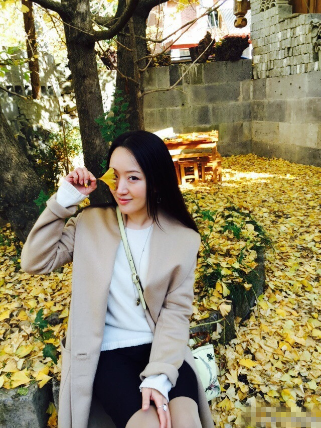 杨钰莹许晴 快50了仍单身活得像少女！