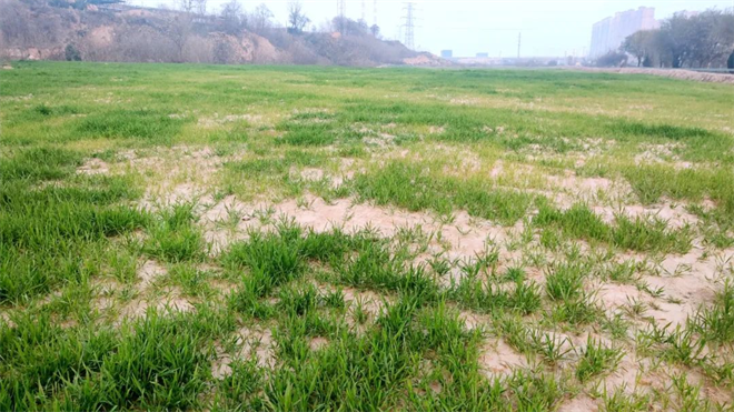 西咸新区秦汉新城:“清单式”管理遏制重污染天气_fororder_图片5