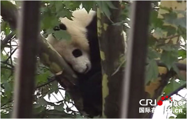 图片默认标题_fororder_1