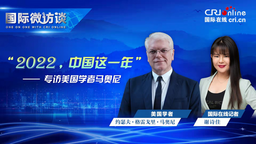 【国际微访谈】美国学者：我看到了中国政府的稳定性与决心