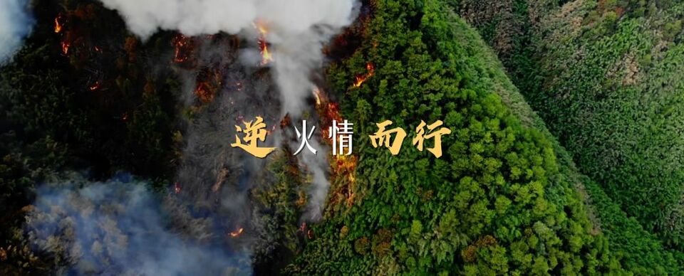 回眸2022｜逆行 勇敢者的选择