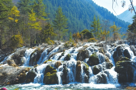 （今日热点2，导航成都，移动端）近300游客报名九寨开沟游 将增加一流文化体验项目