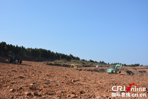 图片默认标题_fororder_栽种基地