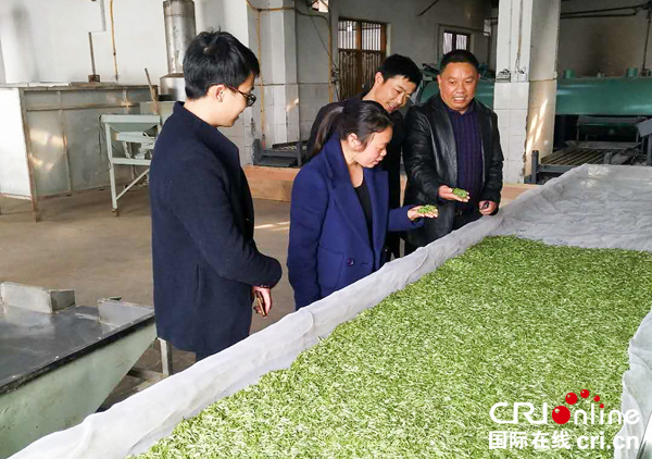 图片默认标题_fororder_茶叶加工