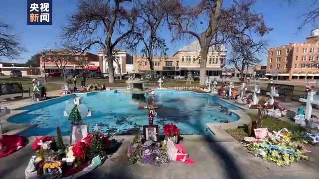 记者观察丨漠视生命 控枪沦为美两党相互攻击工具