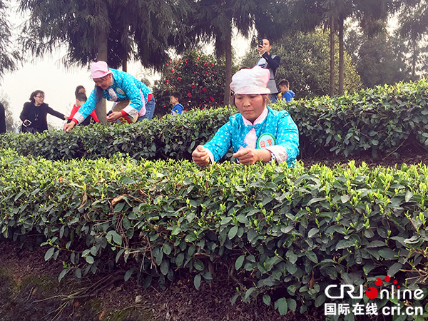 图片默认标题_fororder_IMG_0178_副本