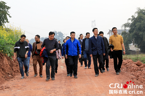 图片默认标题_fororder_南溪区四家班子主要领导专题调研月亮湾乡村振兴示范片