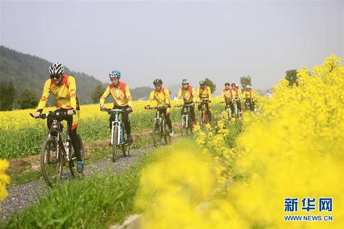 自行车爱好者在湖南省衡阳县库宗桥镇的油菜花海里骑行。新华社发（刘欣荣 摄）