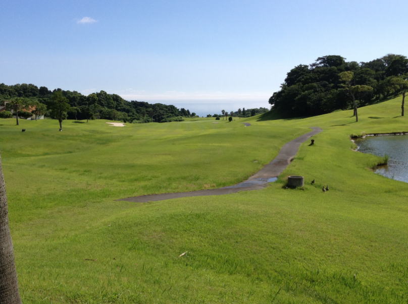「海外网」太愁了！日本高尔夫球场哀叹:一个韩国客人都没有