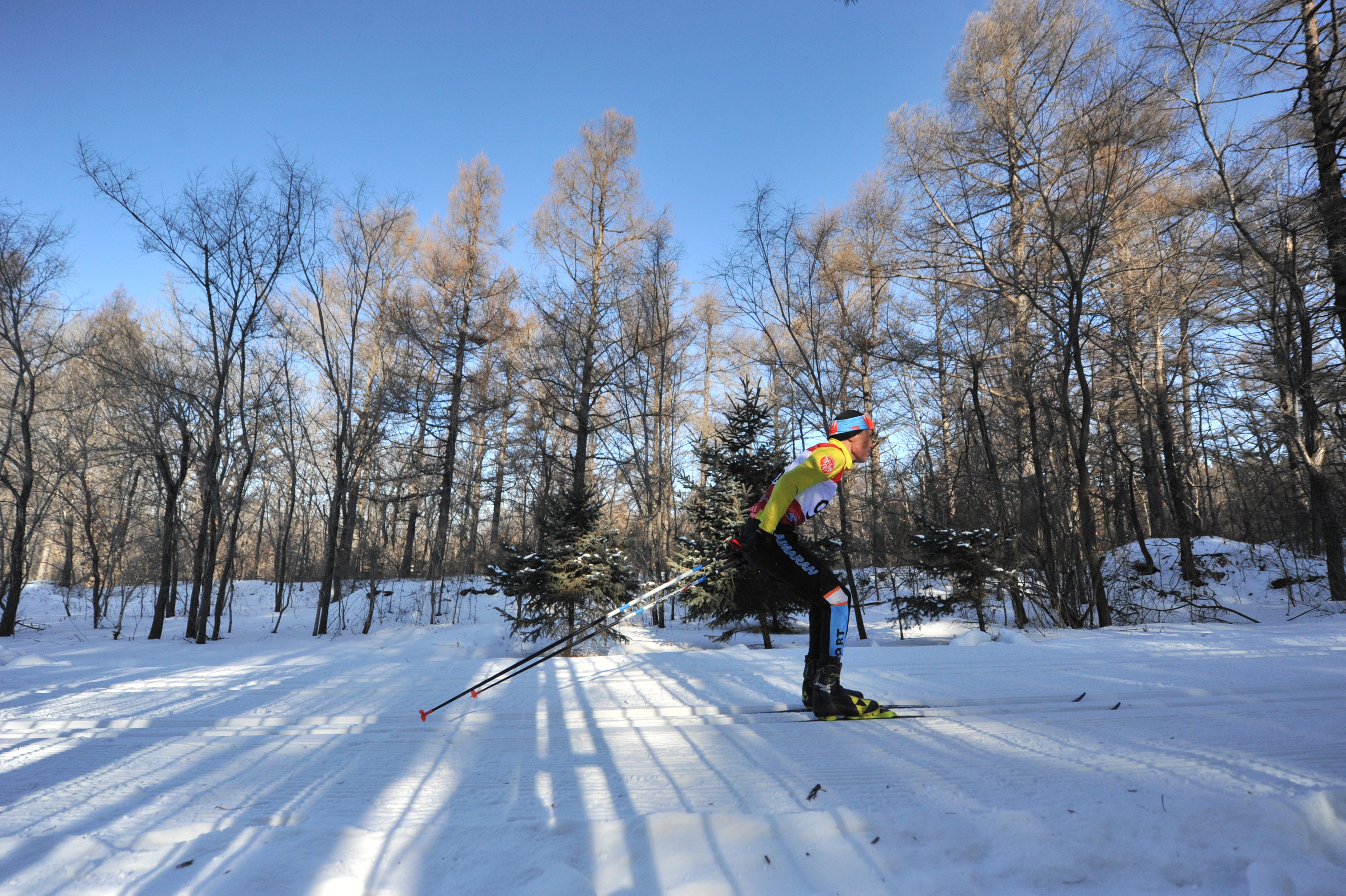 (组图)激情瓦萨二十一周年:奏响冬季冰雪运动交响曲 开启冬季冰雪运动大联欢_fororder_选手们滑过净月潭国家级风景名胜区丛林 供图 净月高新区党工委宣传部