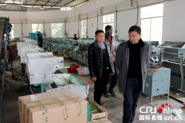 图片默认标题_fororder_肖晓东查看麻柳坪茶厂的茶叶加工机具情况