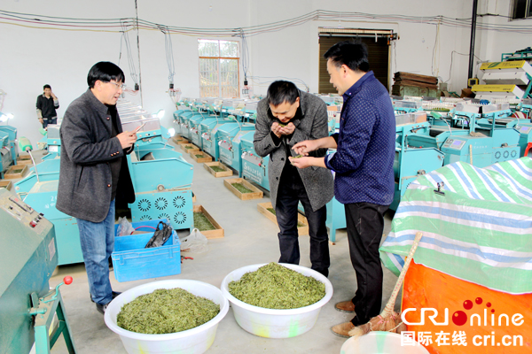 图片默认标题_fororder_肖晓东在青云村黄仕军茶厂的龙井茶生产车间与业主研讨龙井茶生产技术