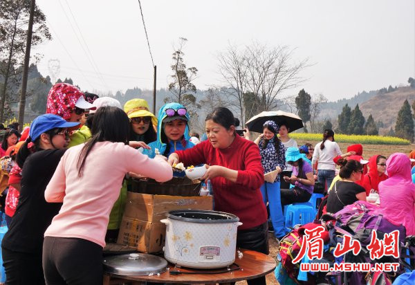 （导航眉山，移动端）青岗千亩油菜黄 “以花为媒”促发展
