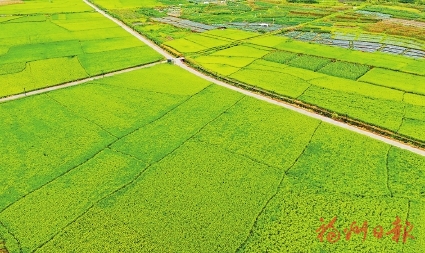 福州：守好美丽约定 共建幸福家园