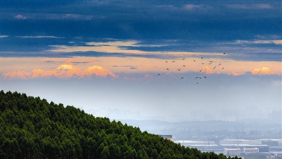 （两会专题-成都篇最新报道列表，导航成都，成都列表，移动端）在京参加两会的政协委员们也谈心中成都