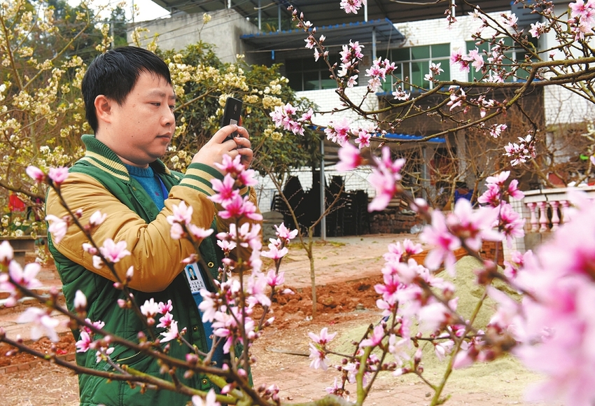 （焦点图，导航成都，移动端）龙泉山上追花人 赏花读花只为游客尽兴归