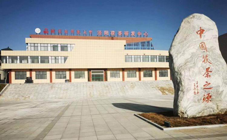 科技赋能 泾阳茯茶在传承中走出创新升级路_fororder_图片5