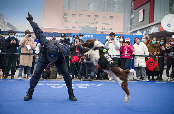 图集｜你的平安 我的节日——庆祝第三个中国人民警察节_fororder_警犬训练与互动--