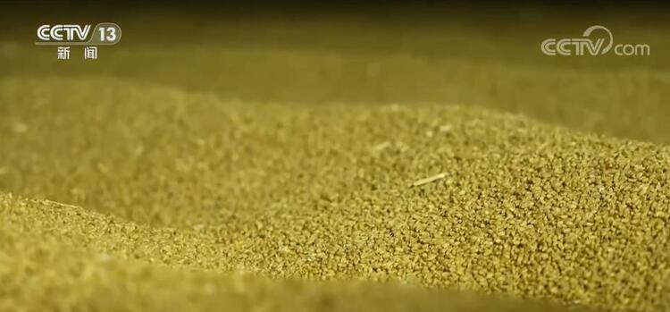 各地提升科技储粮方式 实现粮食减损农民增收