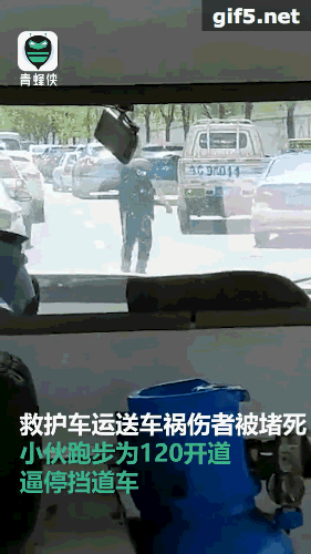 #新华社#“这是我此生见过最帅的背影！”
