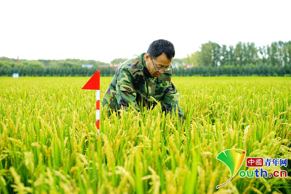 【中国梦·大国工匠篇】黑土地守护者金立军：想为中国的饭碗“装好粮”