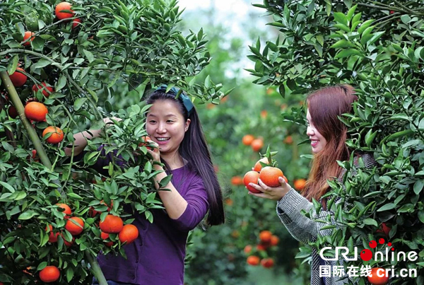 图片默认标题_fororder_981703198