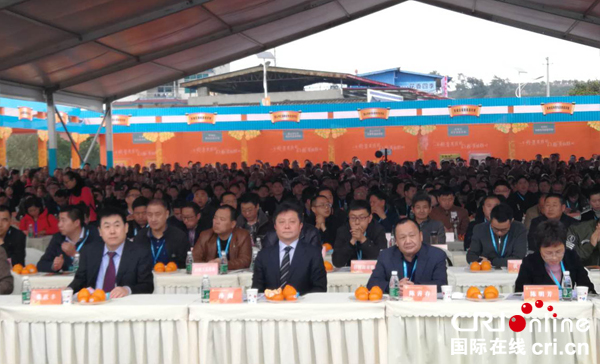 图片默认标题_fororder_1111