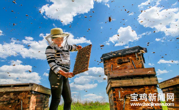 (转载)【宝鸡这一年】千阳县:产业引领 县域经济跑出“加速度”_fororder_微信图片_20230118104540