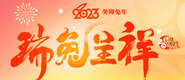 2023網絡中國節·春節_fororder_banner-371x160